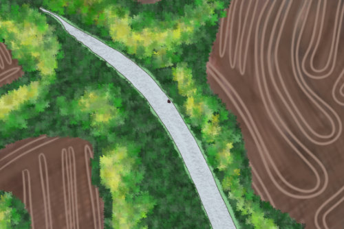 An overhead view of a country road. Brown farmland and forests surround a curving asphalt road.