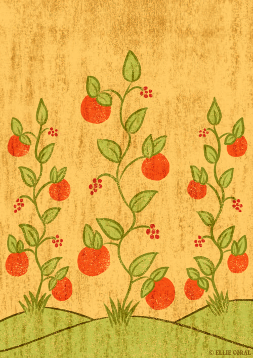 A medieval-inspired drawing of orange fruits and red berries hanging off three skinny stalks.