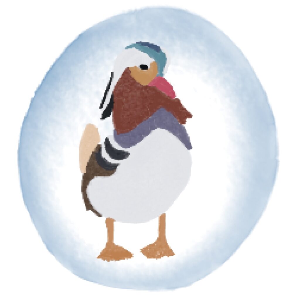 A male Mandarin duck stands in the middle of a wash background, which resembles a blue egg with a white gradient going into the center.