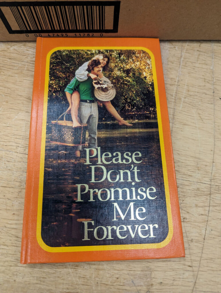 The cover of Please Don't Promise Me Forever; a photo shows a 1970s couple enjoying their time outdoors, with the man carrying the woman on his back.