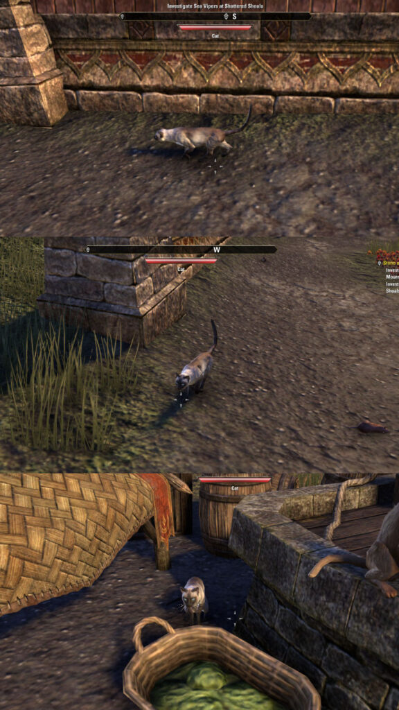 Three screenshots of a realistic Siamese cat walking around in the ESO game.