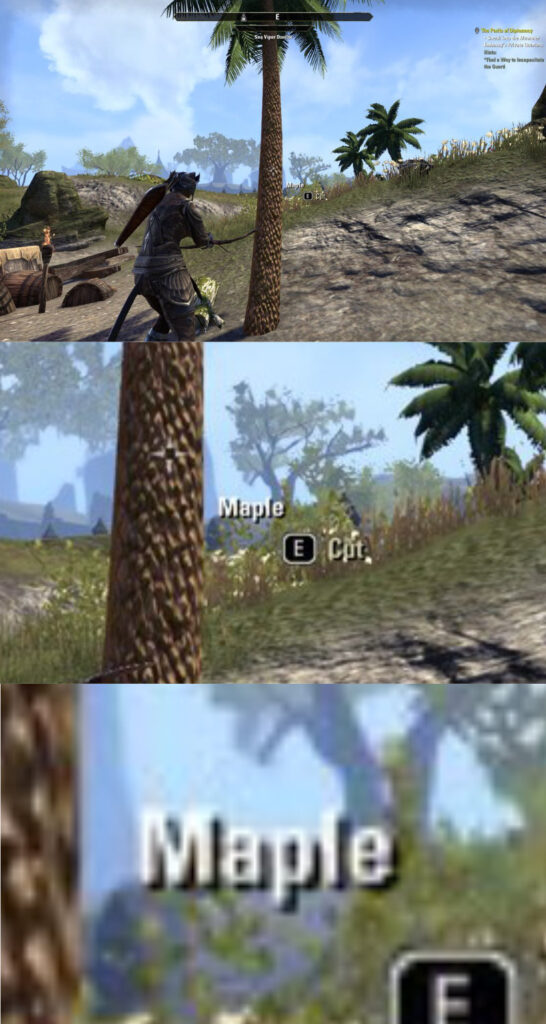 Three screenshots show a palm tree labeled as a maple tree in the Elder Scrolls Online game.