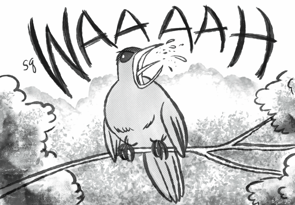 A closeup of a cartoon catbird angrily crying out into the air, spittle flying from its open beak. Its speech reads, sqWAAAAH.